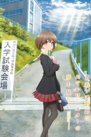 Seishun Buta Yarou wa Odekake Sister no Yume wo Minai